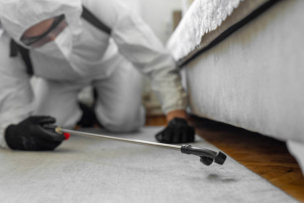 Professional Termite Control technician working in Lakeside Park, KY